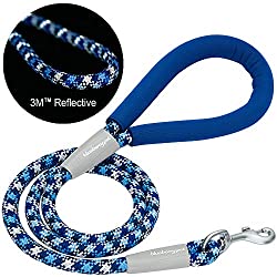 Dog rope leash