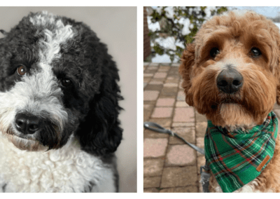 Glow + Snickerdoodle